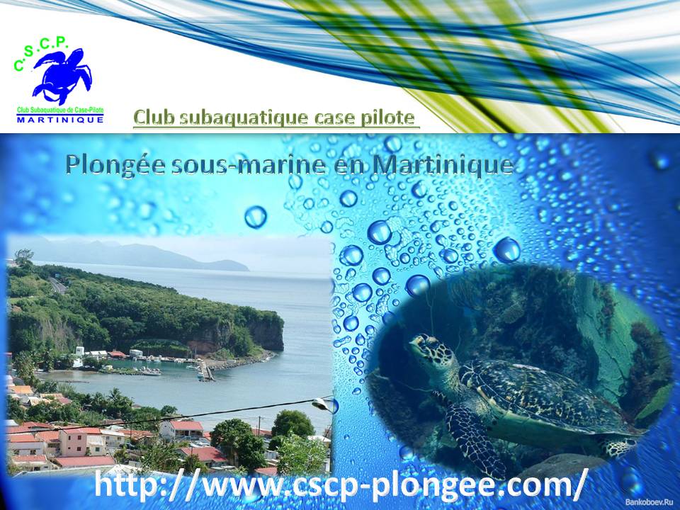 Club subaquatique case pilote